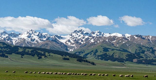 新疆旅游地接售后保障_新疆旅游售后保障_新疆地接服务应急响应
