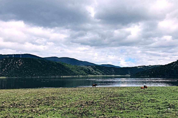 香格里拉跟团旅游_中国旅游集团香格里拉_香格里拉旅行社独立成团