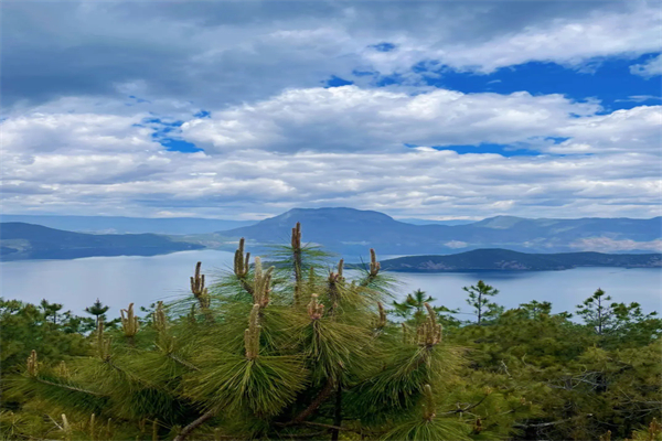 云南旅游发展研究_云南旅行社研学旅行_云南旅游学院官网研究生