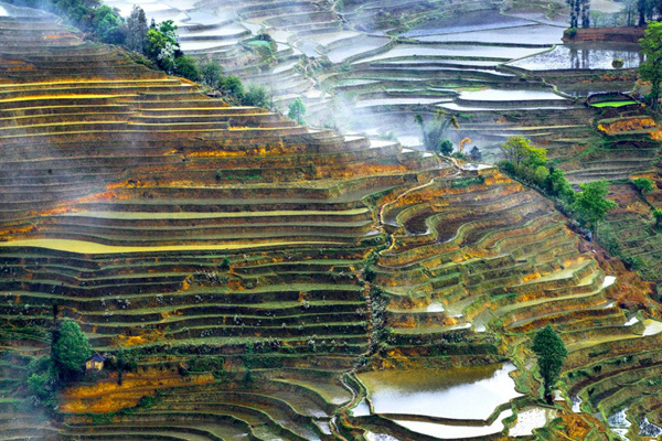 云南旅行社无购物_云南购物团旅游_购物团云南