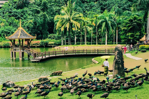 香格里拉旅行社旅游路线_香格里拉旅行社有限责任公司_香格里拉的旅行社