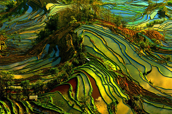 昆明旅行社旅游团_昆明旅行社旅游线路_昆明旅行社云南旅游