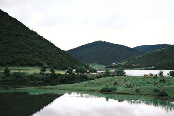 西双版纳亲子游记_西双版纳旅行社亲子游_西双版纳亲子