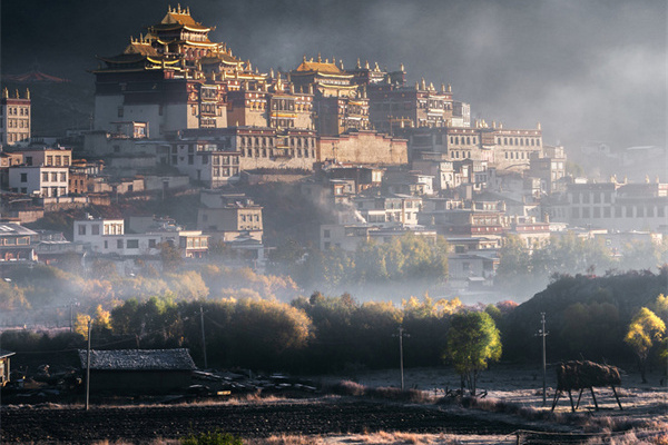 昆明旅行社旅游线路_昆明旅游陷阱_昆明旅行社旅游避坑