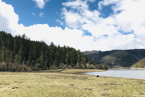 香格里拉旅游团真黑暗_香格里拉旅行社哪家靠谱_香格里拉旅行社有限公司
