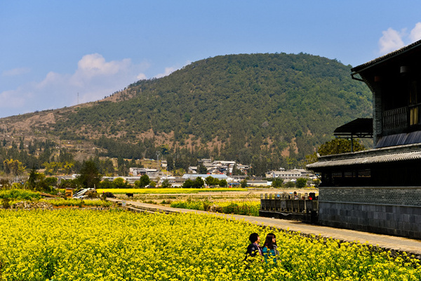 腾冲高端旅行社_旅行社腾冲一日游有多少产品_腾冲的旅行社