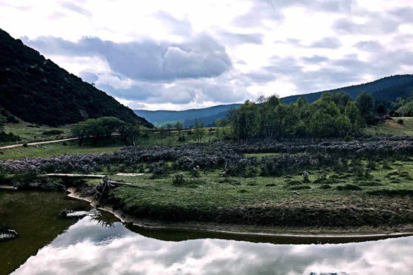 旅行团云南游_云南旅行社小包团_报团旅行云南