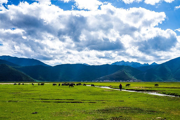 香格里拉周边旅行社_香格里拉旅行社有限责任公司_香格里拉周边旅游景点介绍