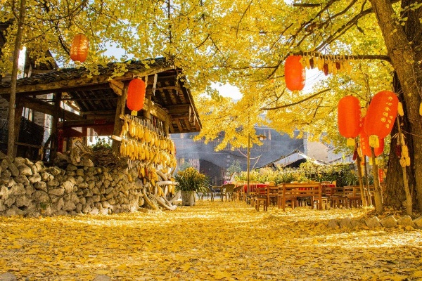 西双版纳报团旅游哪个旅行社好_西双版纳团游报价_西双版纳旅行社小包团