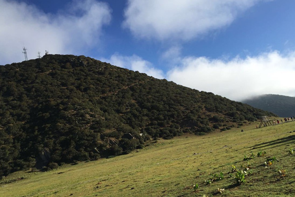 腾冲景区专属讲解地接_腾冲旅游地陪_腾冲地接旅行社有哪些