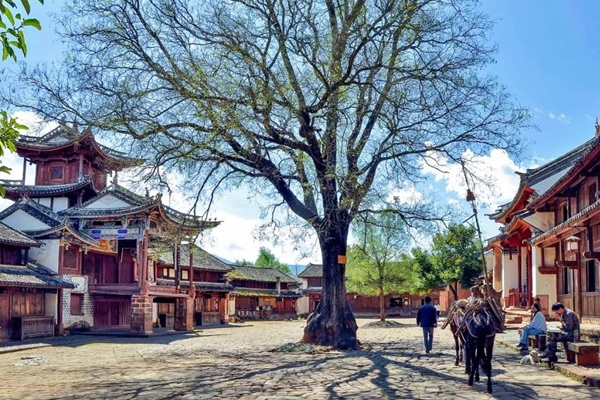 云南丽江旅行社找哪家_丽江自由行旅行社_丽江靠谱地接旅行社