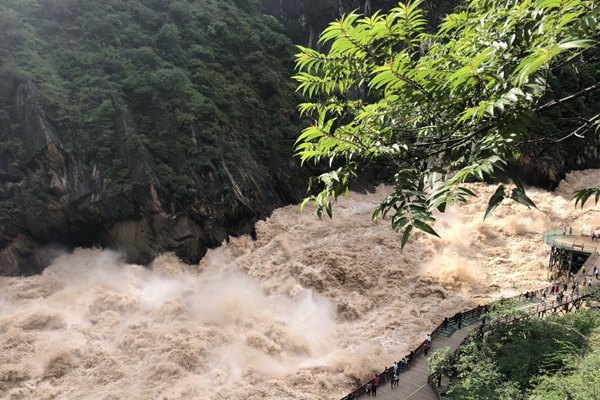 西双版纳打卡美食_西双版纳美食排名前十_西双版纳旅行社美食推荐