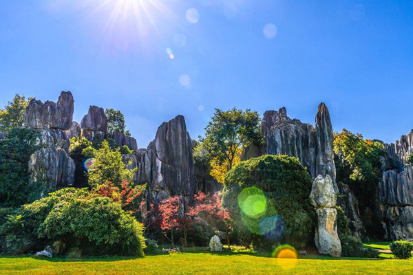 西双版纳旅拍地接_西双版纳有旅拍吗_西双版纳旅拍一日游